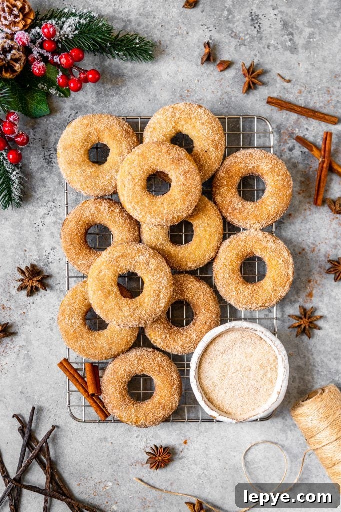 Vanilla Chai Baked Donuts Recipe — Soft Spiced Donuts 2 Vanilla Chai Baked Donuts