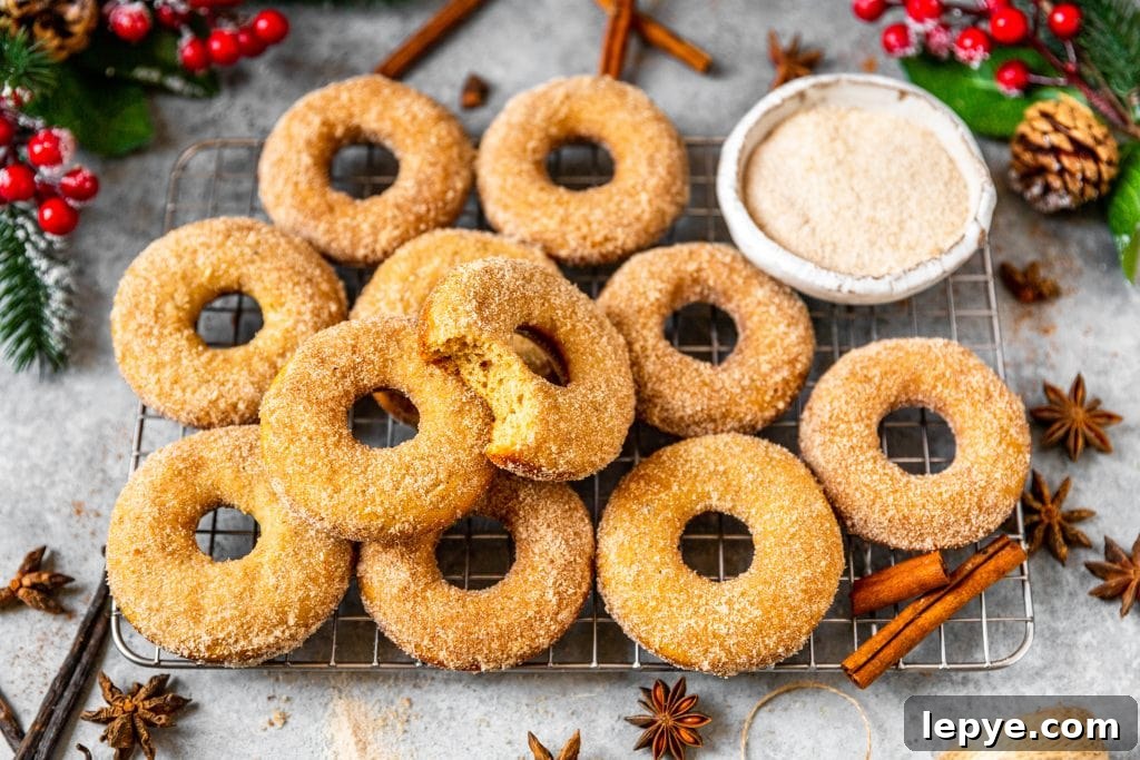 Vanilla Chai Baked Donuts Recipe — Soft Spiced Donuts 3 Vanilla Chai Baked Donuts