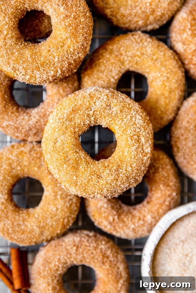 Vanilla Chai Baked Donuts Recipe — Soft Spiced Donuts 4 Vanilla Chai Baked Donuts