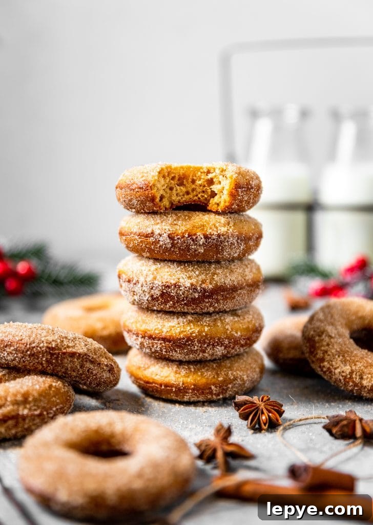 Vanilla Chai Baked Donuts Recipe — Soft Spiced Donuts 5 Vanilla Chai Baked Donuts