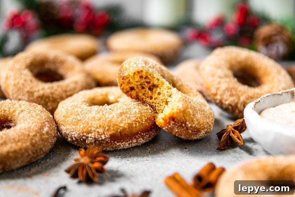 Vanilla Chai Baked Donuts Recipe — Soft Spiced Donuts 6 Vanilla Chai Baked Donuts
