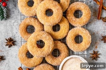 Vanilla Chai Baked Donuts Recipe — Soft Spiced Donuts 7 Vanilla Chai Baked Donuts