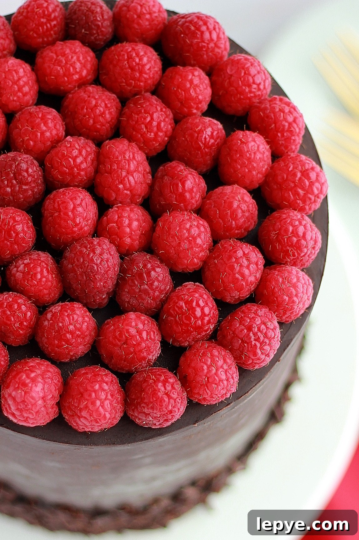 Decadent Dark Chocolate Cake with Fresh Raspberry Filling 4 img 4324 3