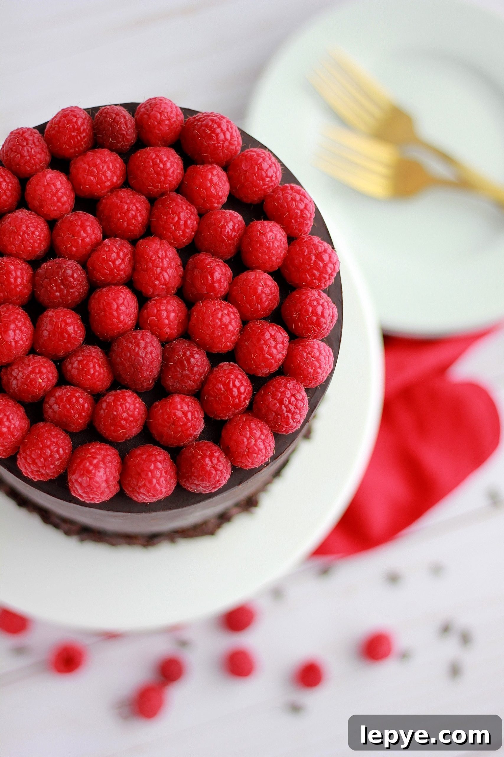 Decadent Dark Chocolate Cake with Fresh Raspberry Filling 5 img 4324 4 scaled