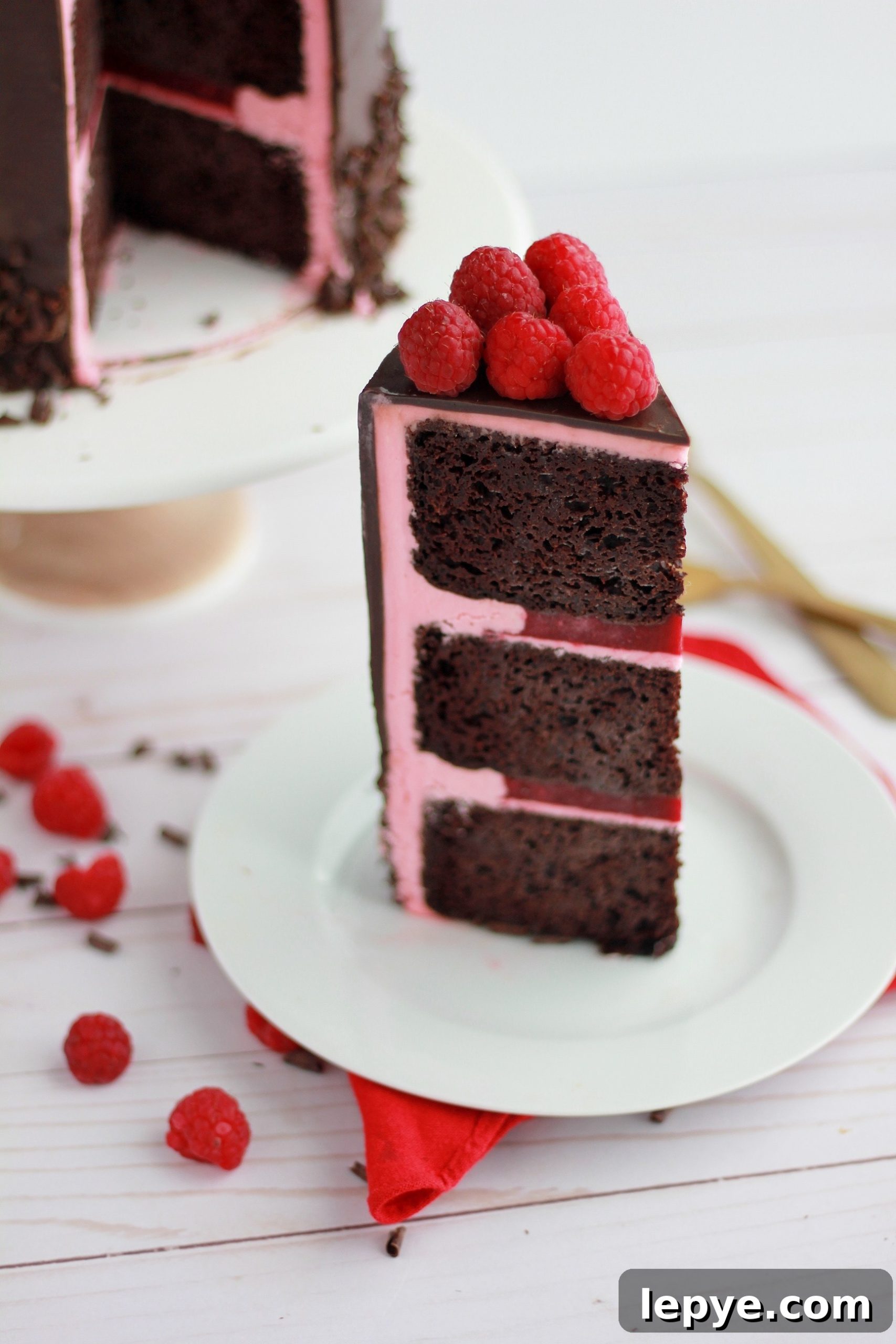 Decadent Dark Chocolate Cake with Fresh Raspberry Filling 6 img 4324 5 scaled