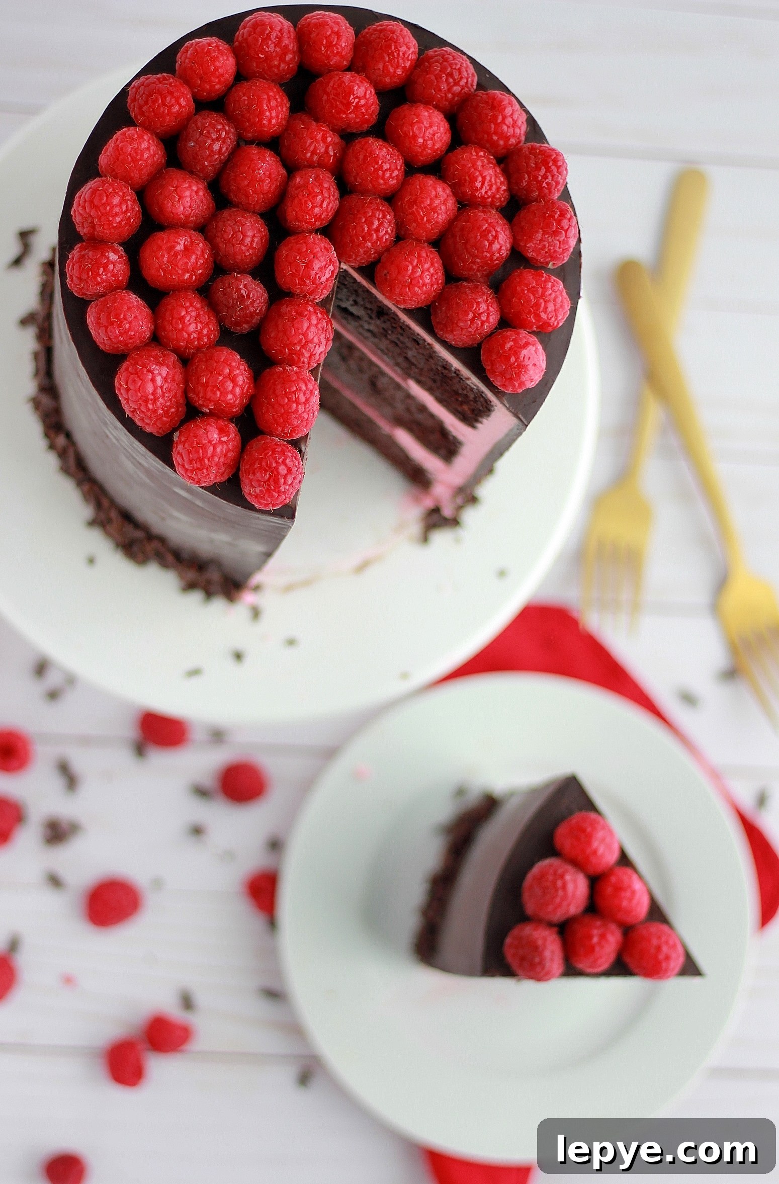 Decadent Dark Chocolate Cake with Fresh Raspberry Filling 7 img 4324 6