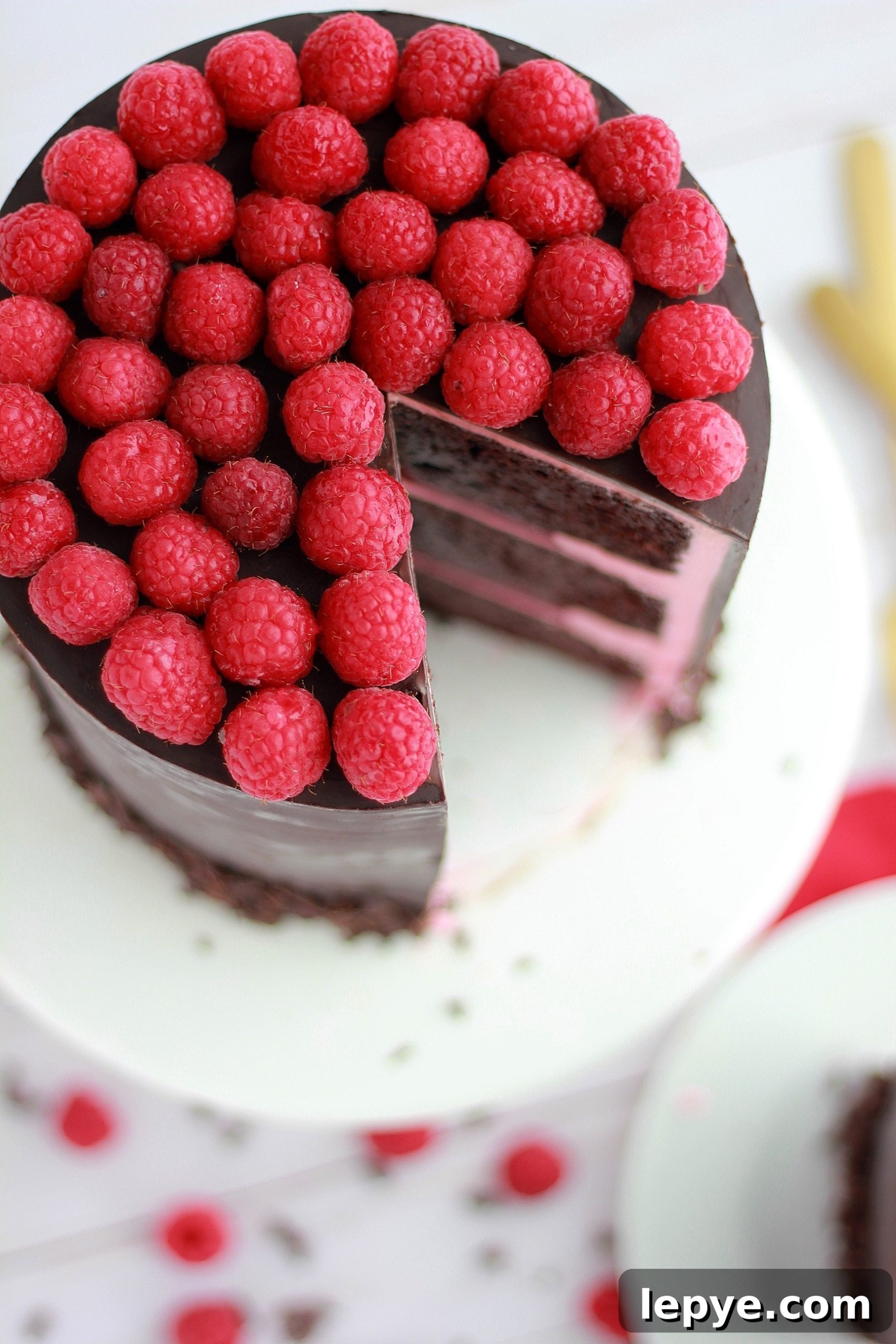 Decadent Dark Chocolate Cake with Fresh Raspberry Filling 8 img 4324 7 scaled