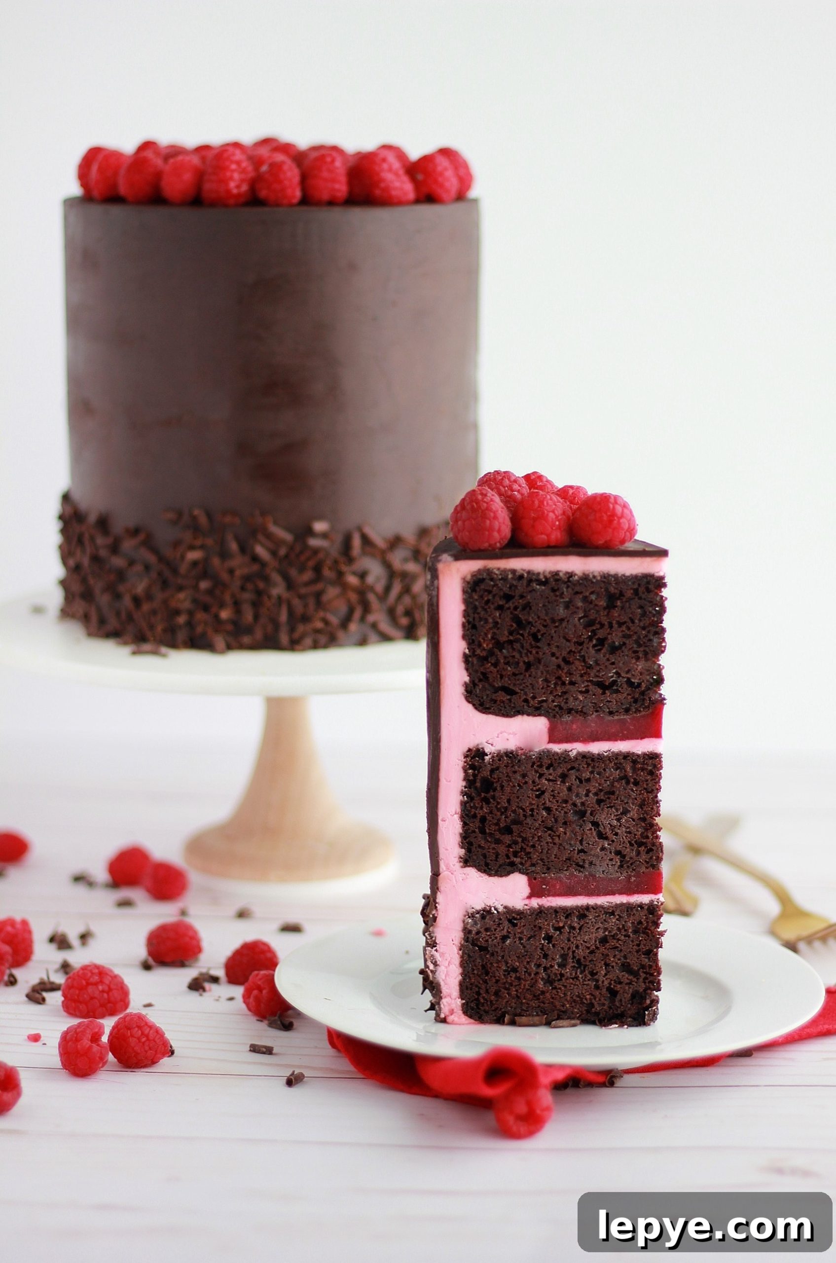 Decadent Dark Chocolate Cake with Fresh Raspberry Filling 9 img 4324 8 scaled