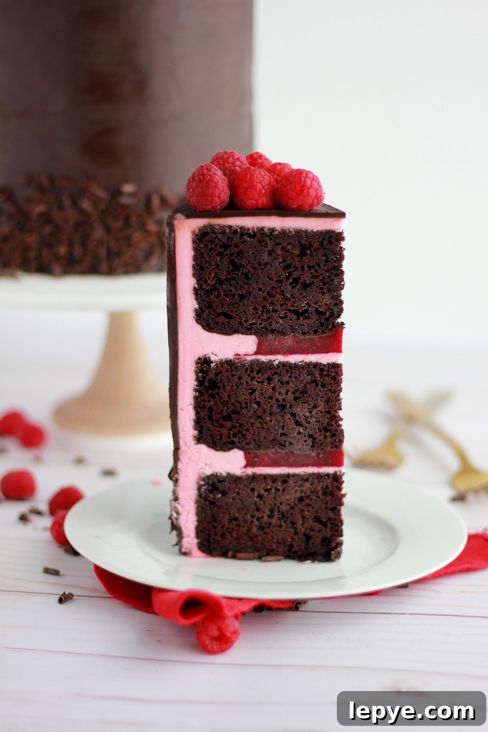Decadent Dark Chocolate Cake with Fresh Raspberry Filling 10 img 4324 9 scaled