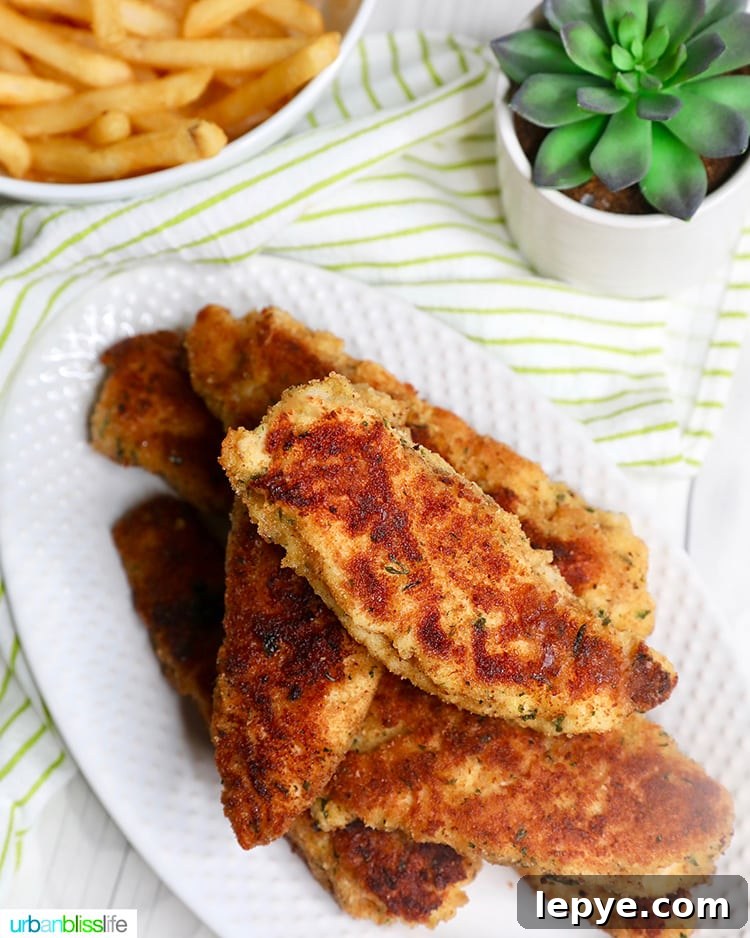 Crispy Breaded Chicken Tenders Recipe for Perfectly Crunchy Results 12 Breaded Chicken Tenders