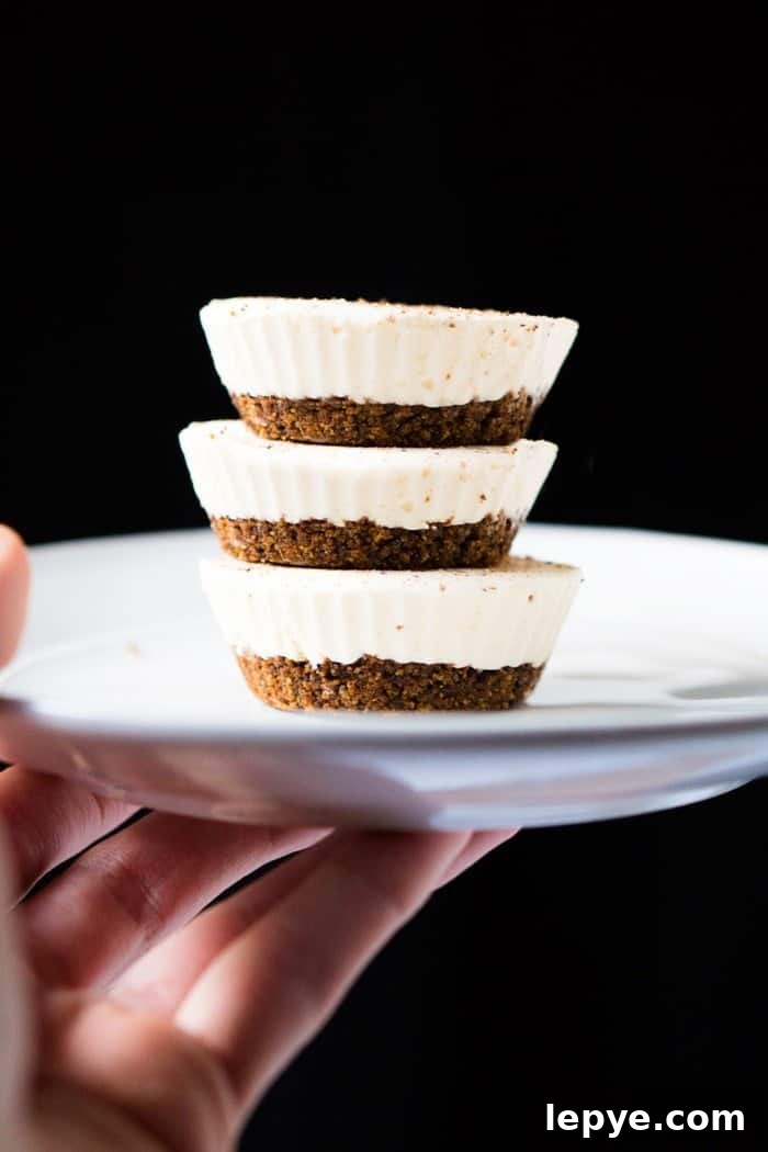 Single-Serve No-Bake Keto Cheesecake Recipe 3 No-Bake Gluten Free & Keto Cheesecake For-1 #keto #lowcarb #glutenfree #healthyrecipes #cheesecake