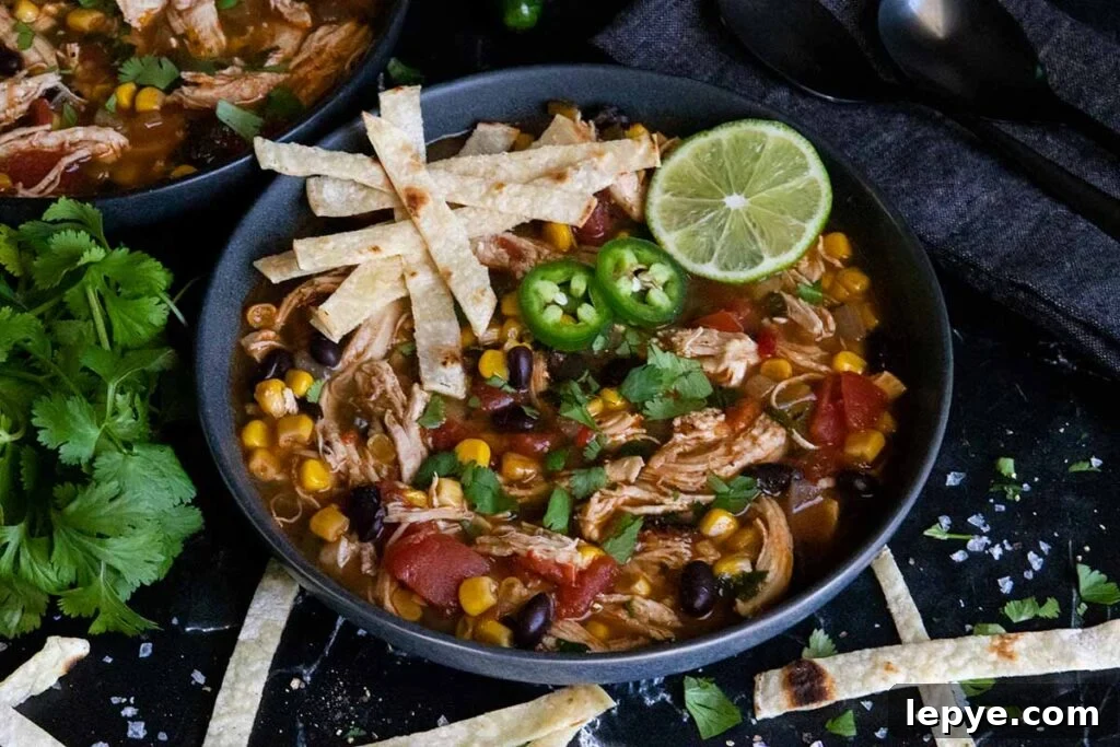 Chicken tortilla soup prepared on the stovetop