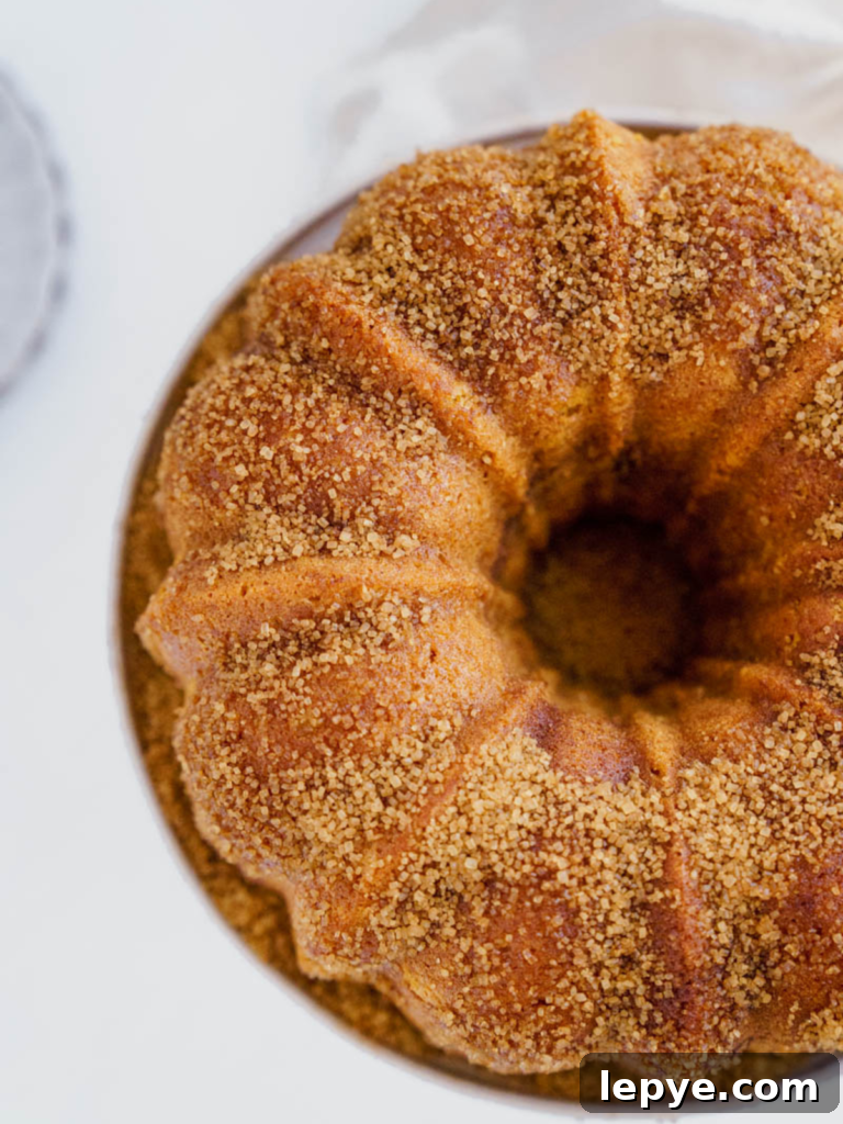 Pumpkin Churro Bundt Cake Recipe for Fall Gatherings 2 Pumpkin Churro Bundt Cake