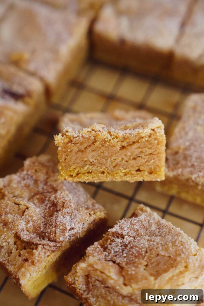 Pumpkin Churro Bundt Cake Recipe for Fall Gatherings 12 img 5836 11