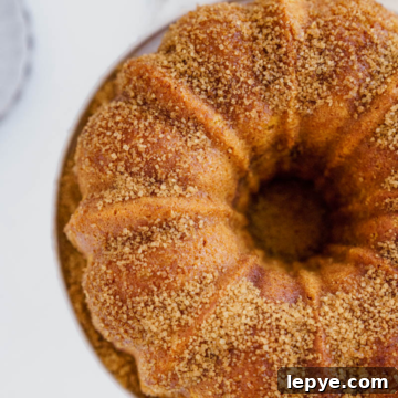 Pumpkin Churro Bundt Cake Recipe for Fall Gatherings 13 Pumpkin Churro Bundt Cake