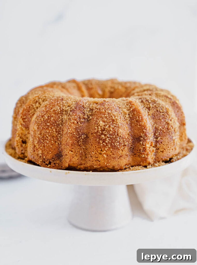 Pumpkin Churro Bundt Cake Recipe for Fall Gatherings 3 img 5836 2