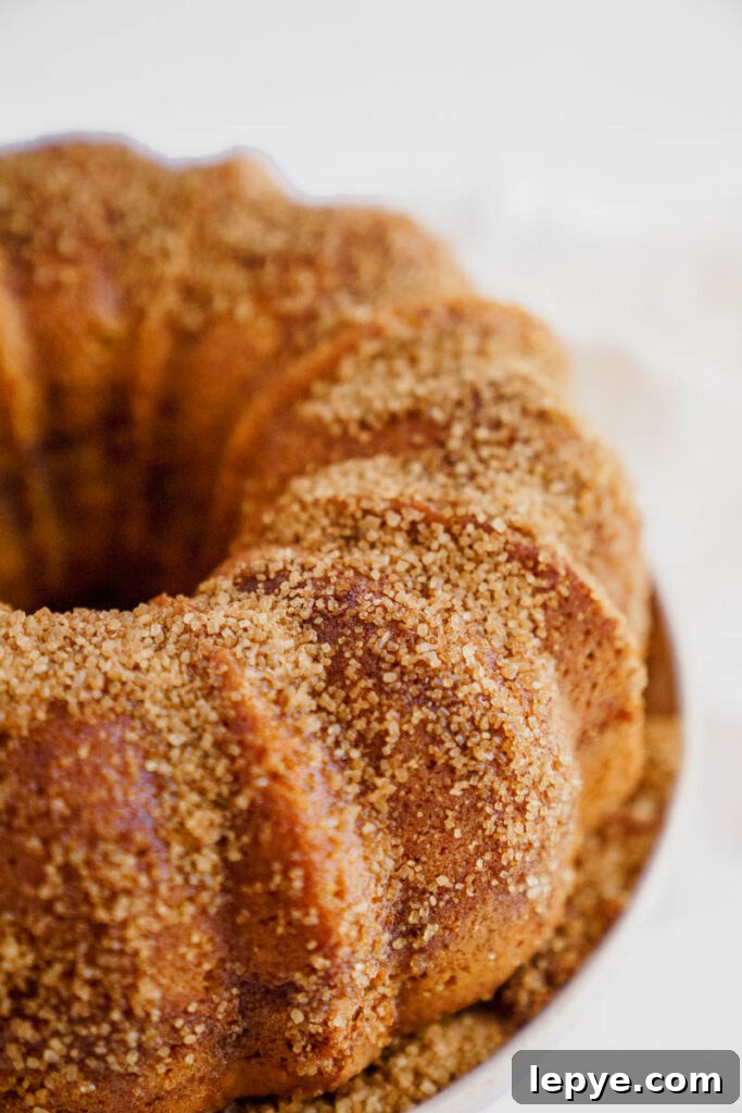 Pumpkin Churro Bundt Cake Recipe for Fall Gatherings 4 img 5836 3