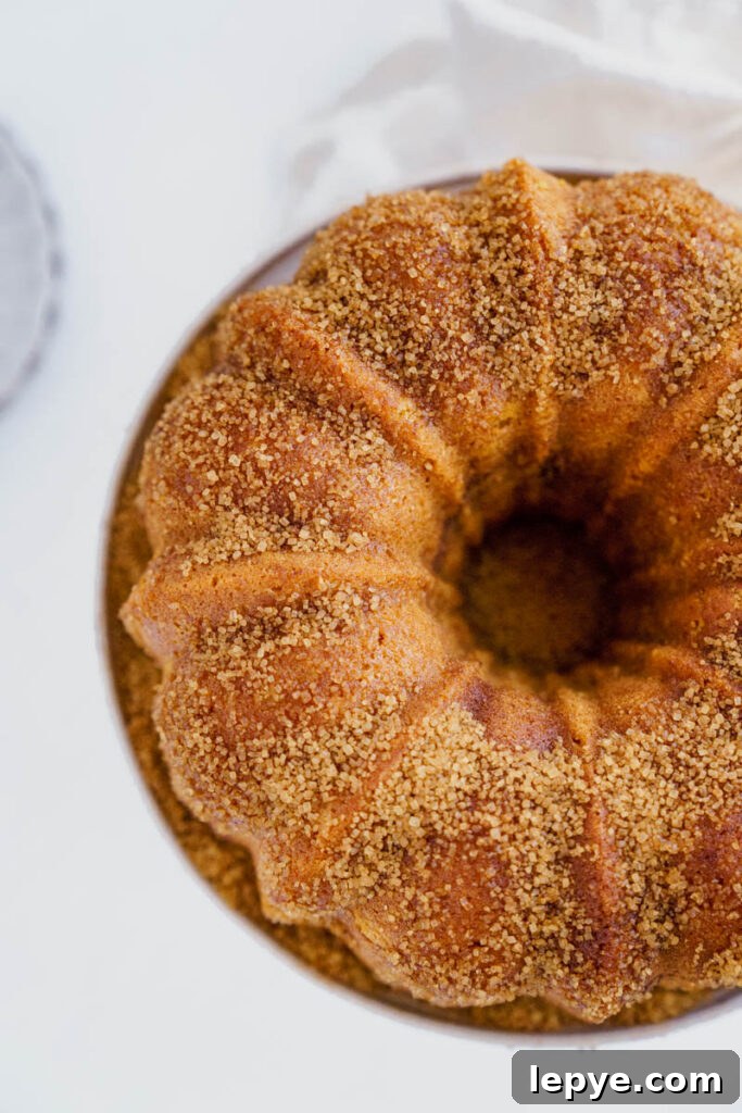 Pumpkin Churro Bundt Cake Recipe for Fall Gatherings 6 img 5836 5