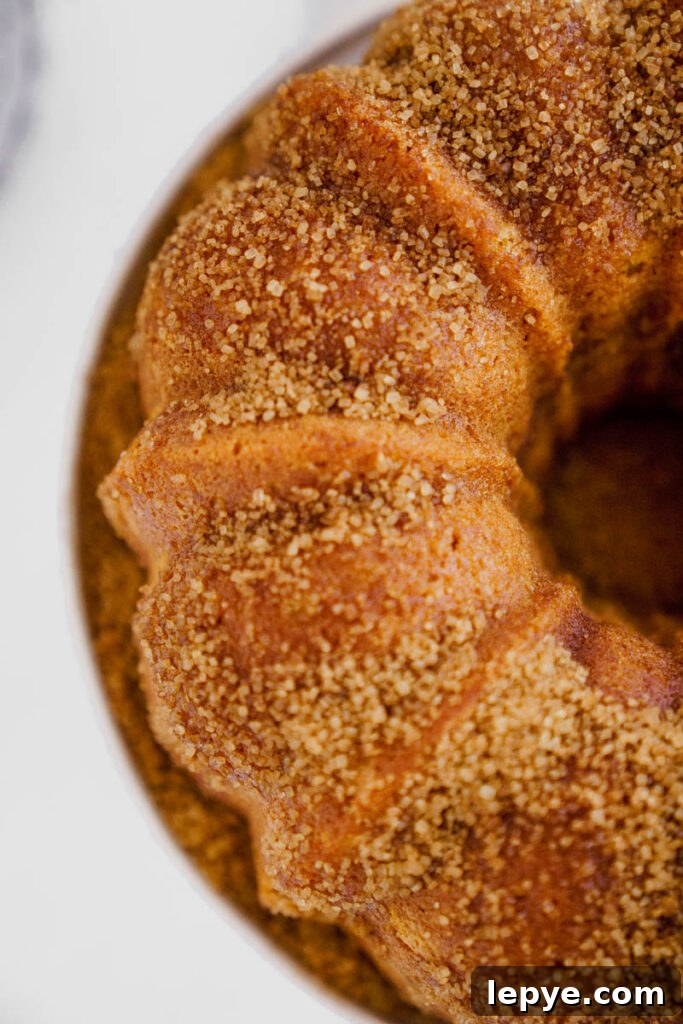 Pumpkin Churro Bundt Cake Recipe for Fall Gatherings 7 img 5836 6