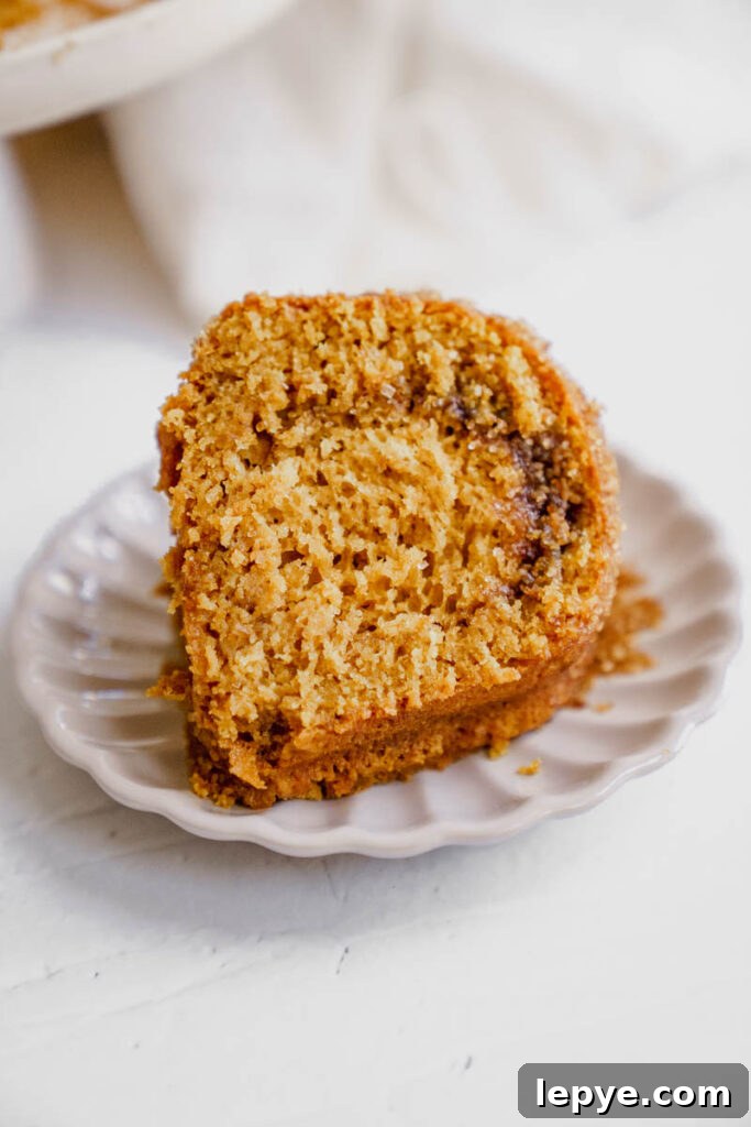 Pumpkin Churro Bundt Cake Recipe for Fall Gatherings 8 img 5836 7