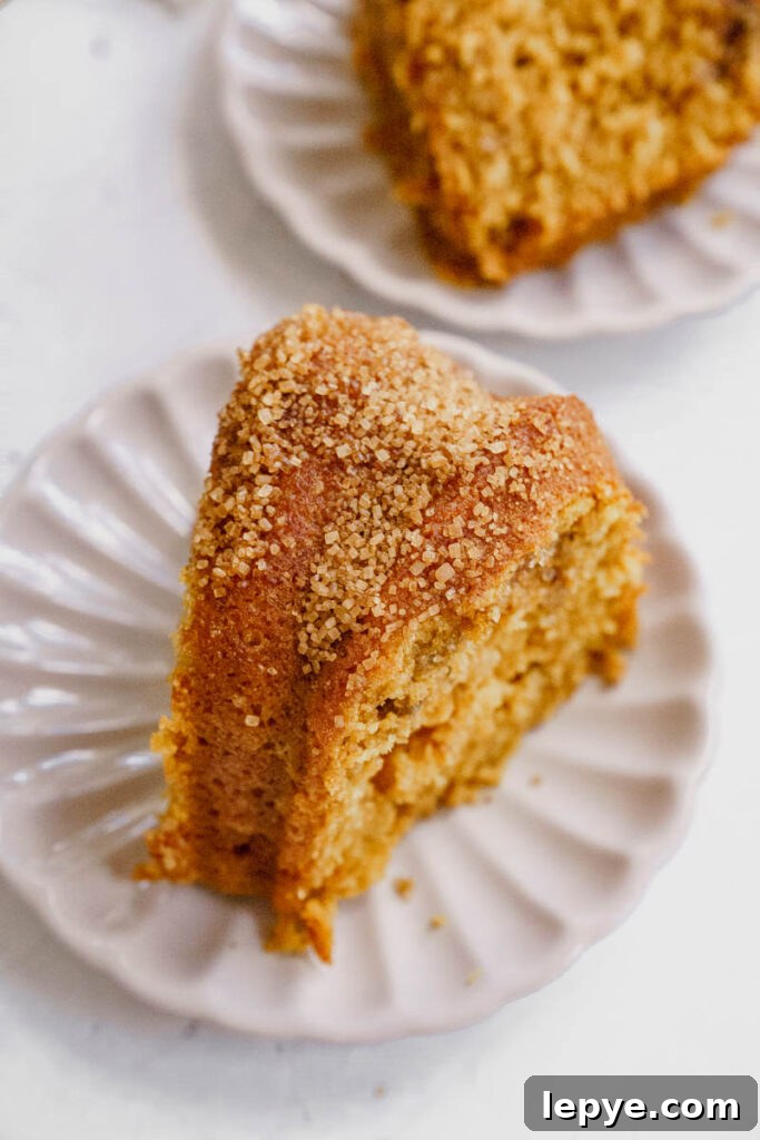 Pumpkin Churro Bundt Cake Recipe for Fall Gatherings 9 img 5836 8