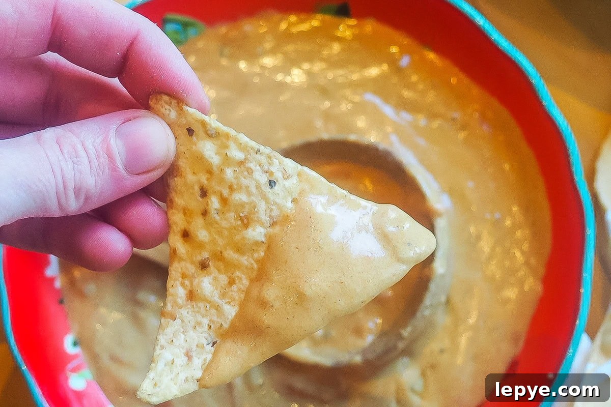 16 Irresistible Dip Recipes That Will Steal the Show 13 Instant Pot Queso