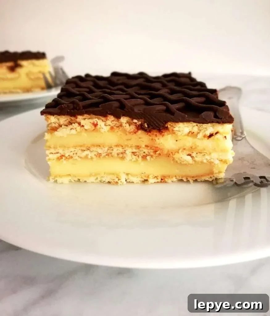 Vanilla No-Bake Biscuit Cake Recipe — Quick, Creamy Dessert 2 vanilla no bake biscuit cake slice side view