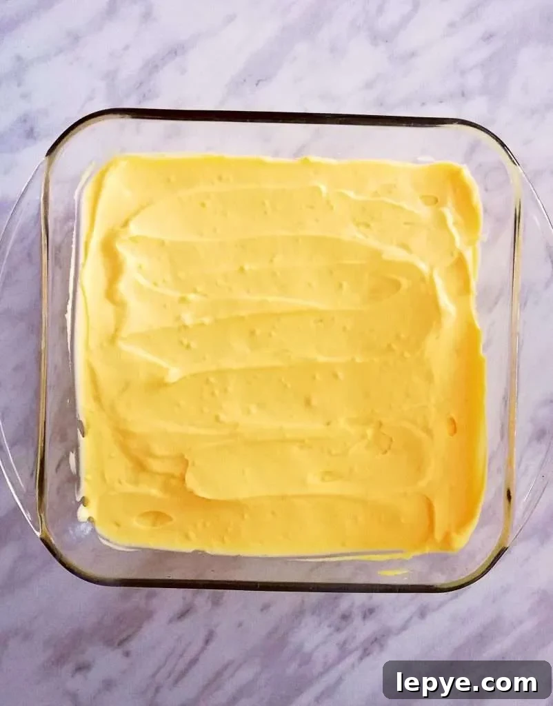 Vanilla No-Bake Biscuit Cake Recipe — Quick, Creamy Dessert 10 vanilla no bake biscuit cake final custard layer