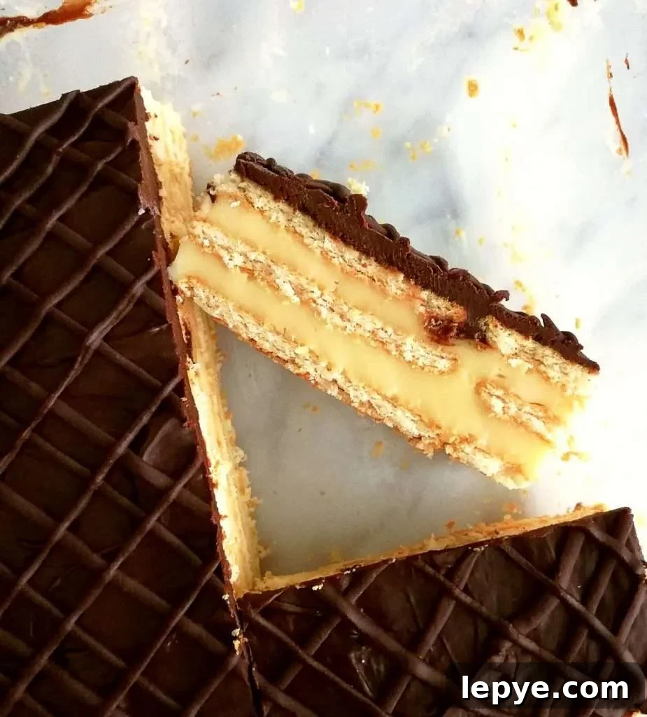 Vanilla No-Bake Biscuit Cake Recipe — Quick, Creamy Dessert 12 vanilla no bake biscuit cake overhead close up on slice