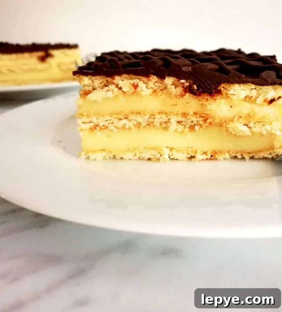 Vanilla No-Bake Biscuit Cake Recipe — Quick, Creamy Dessert 11 vanilla no bake biscuit cake slice side view