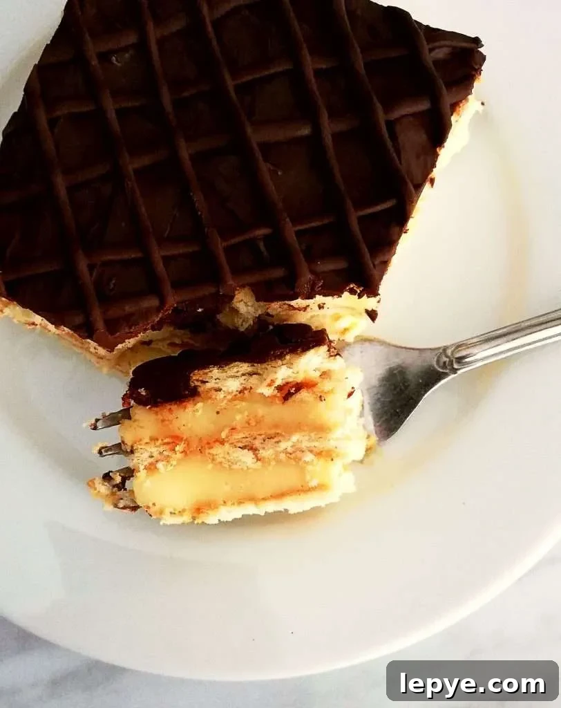 Vanilla No-Bake Biscuit Cake Recipe — Quick, Creamy Dessert 3 vanilla no bake biscuit cake bite on fork