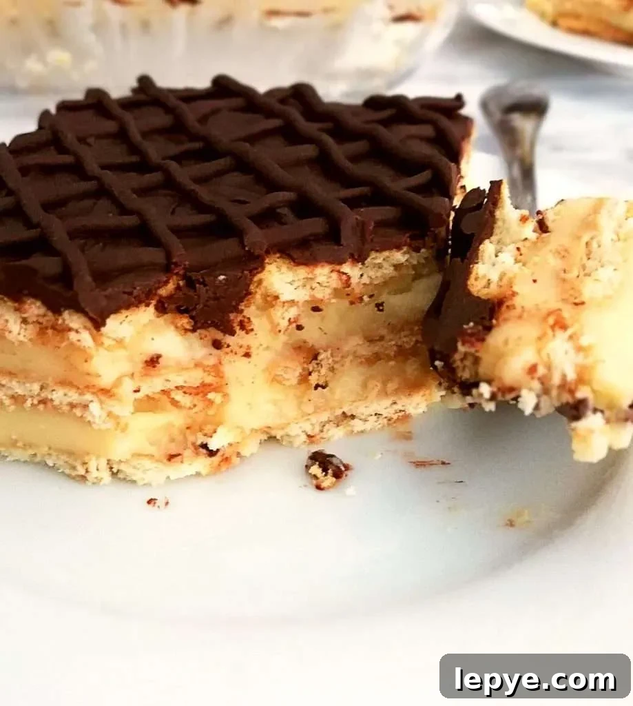 Vanilla No-Bake Biscuit Cake Recipe — Quick, Creamy Dessert 4 vanilla no bake biscuit cake side view bite on fork