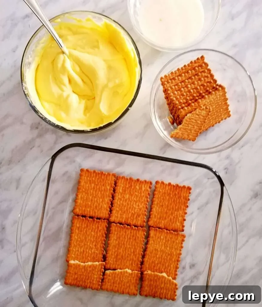 Vanilla No-Bake Biscuit Cake Recipe — Quick, Creamy Dessert 8 vanilla no bake biscuit cake assembly