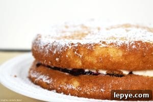 Fluffy Egg Yolk Sponge Cake Recipe with Silky Texture 2 Egg Yolk Sponge Cake is a super light and fluffy sponge relying on egg yolks as the base which delivers a rich and fluffy sponge. Filled with whipped cream and jam, dusted with icing sugar and you have a classic sponge cake for dessert, morning tea or just for fun. #eggyolkspongecake #spongecake #spongecakerecipe #easycakerecipe