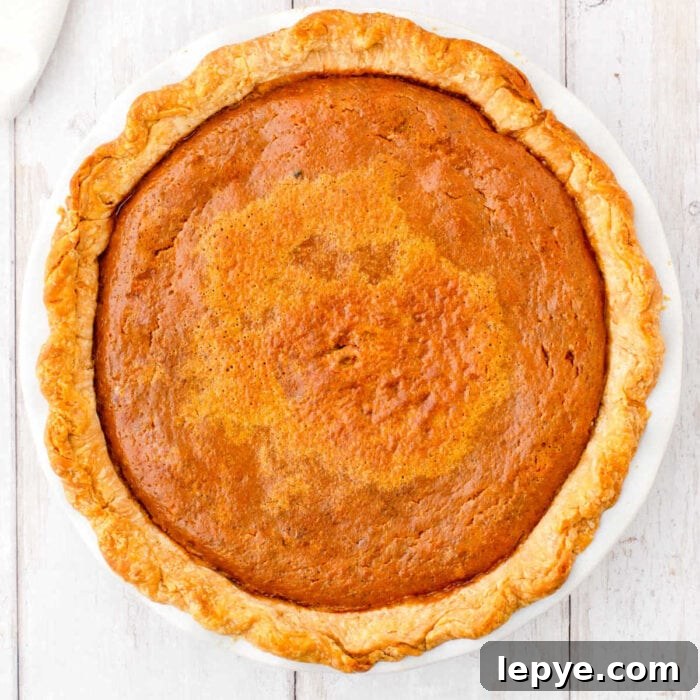 Closeup view of the whole top of the pie for the feature image.