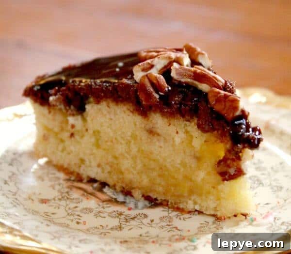 Chocolate upside down cake makes its own fudge frosting. So easy and fast! RestlessChipotle.com