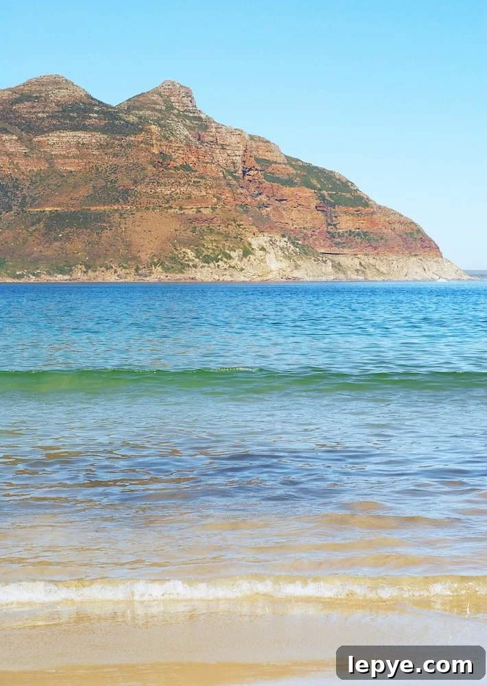 SA Sunday: Explore Hout Bay's Markets, Beaches & Boat Trips 2 img 66 1