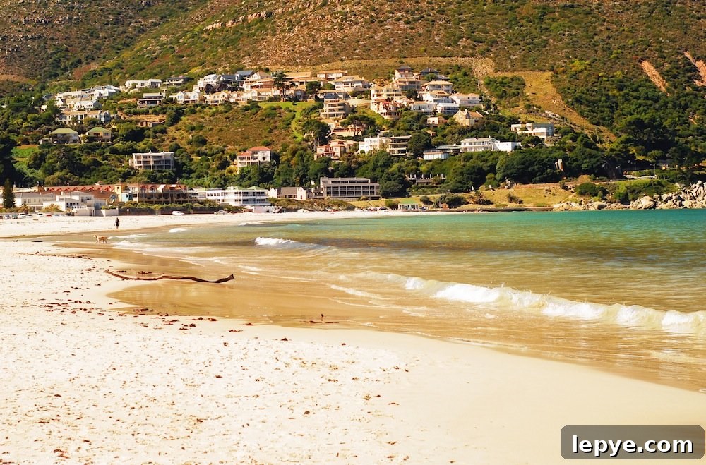 SA Sunday: Explore Hout Bay's Markets, Beaches & Boat Trips 3 img 66 2