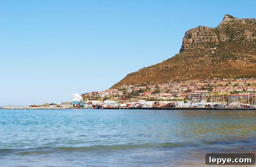 SA Sunday: Explore Hout Bay's Markets, Beaches & Boat Trips 4 img 66 3