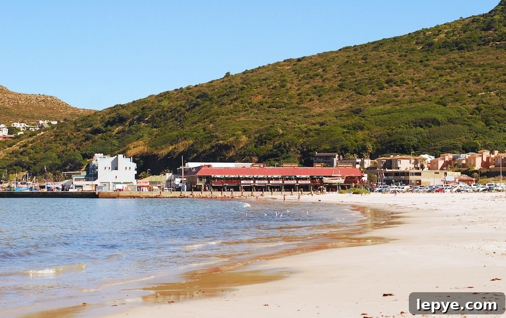 SA Sunday: Explore Hout Bay's Markets, Beaches & Boat Trips 5 img 66 4