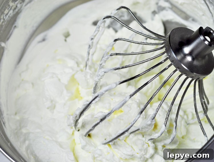 Vegan Whipped Cream
