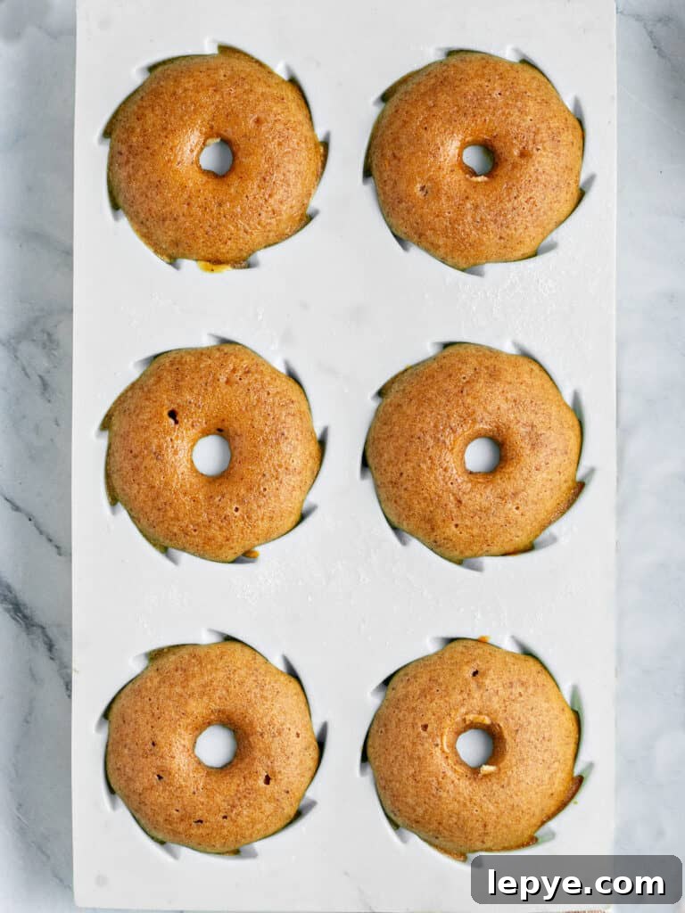 Baked pumpkin mini bundt cakes in a gray silicon mold. Top view.