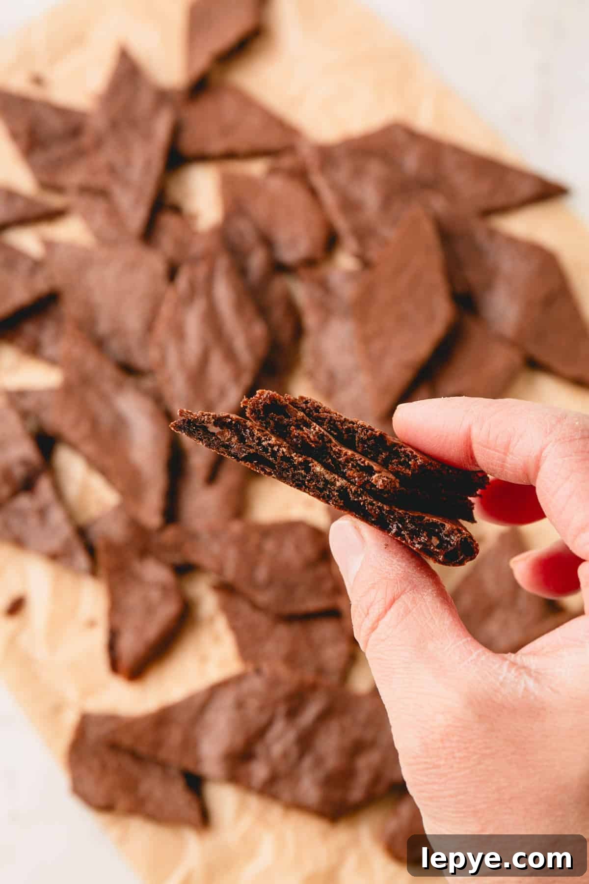 Crunchy Brownie Crisps: Chocolate Bites Recipe 10 A hand holding pieces of brownie crisp.