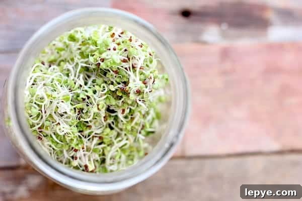 Proven Ways to Earn Money Working From Home 5 Image, taken from above, shows a jar full of sprouts on a wood table.