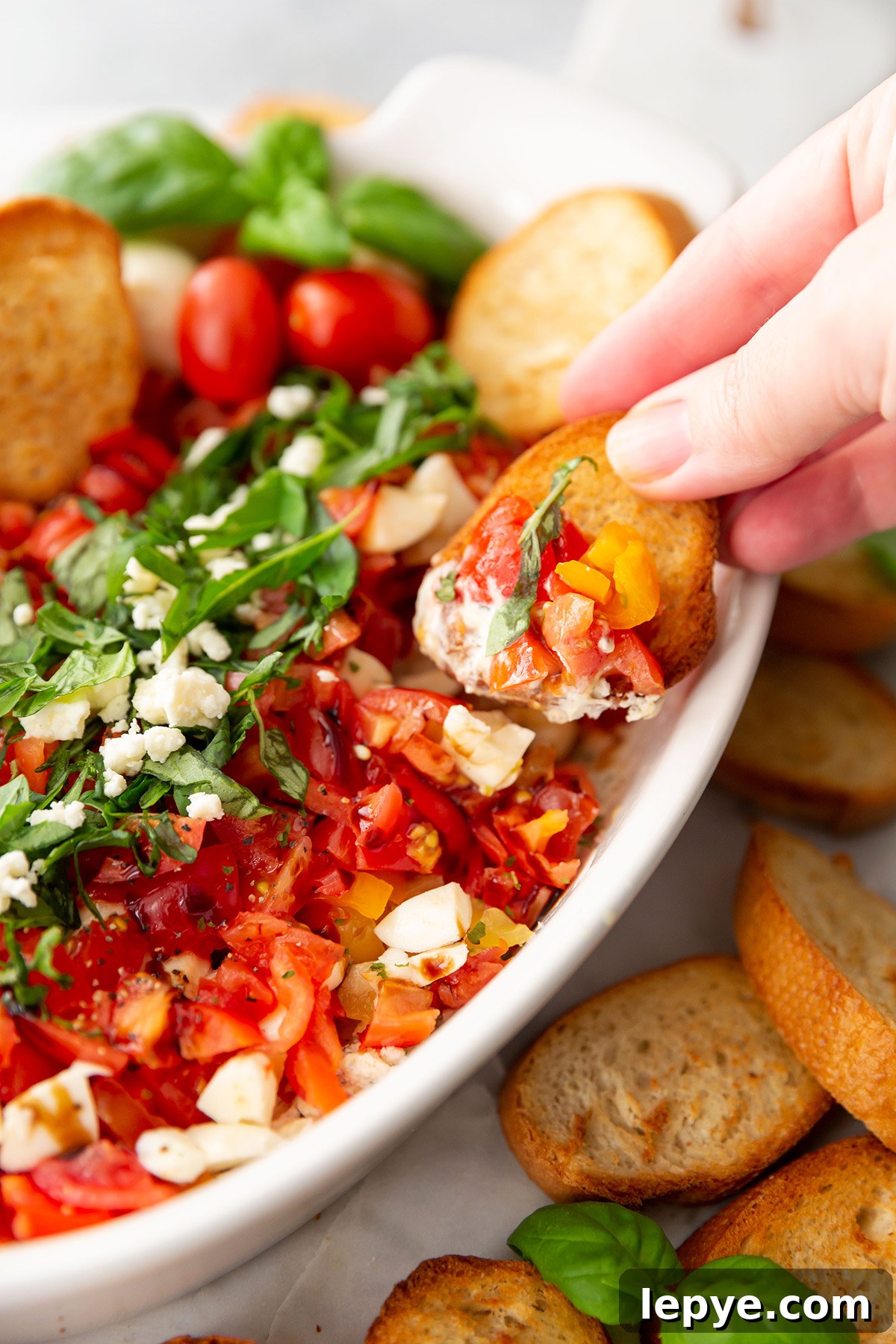 Chilled Caprese Dip with Tomatoes, Fresh Mozzarella & Basil 3 Caprese Dip