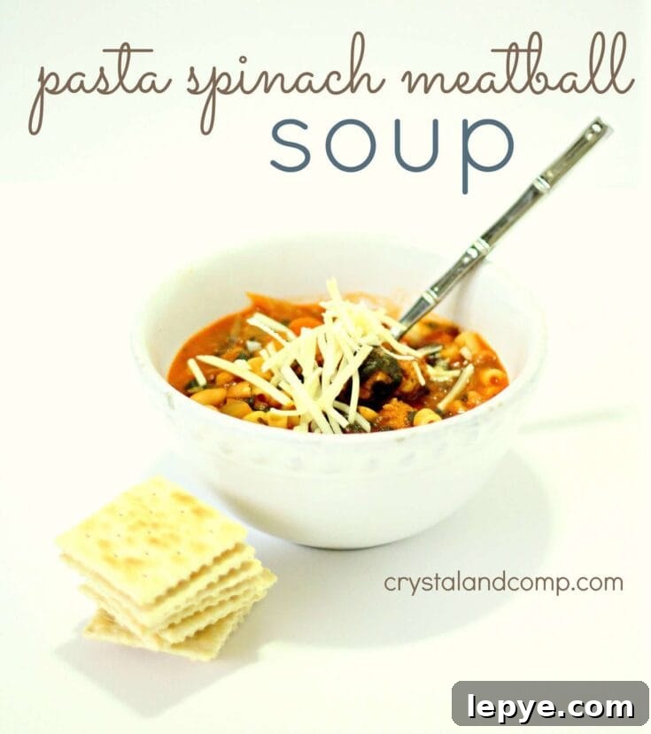 Image for Pasta Spinach Meatball Soup
