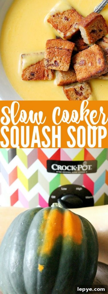 Creamy Slow Cooker Butternut Squash Soup Recipe 5 Slow Cooker Squash Soup