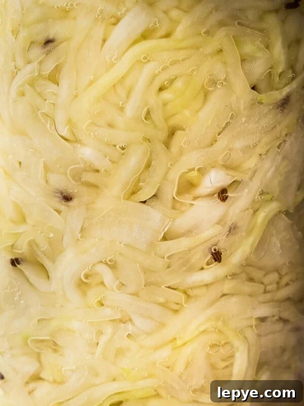 Bubbles forming on the cabbage as it ferments.