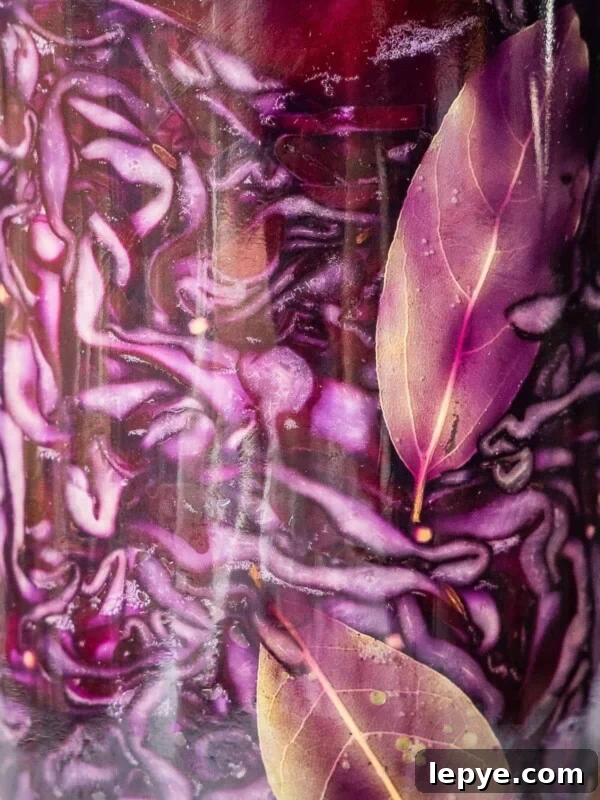 Mason jar with red cabbage sauerkraut.