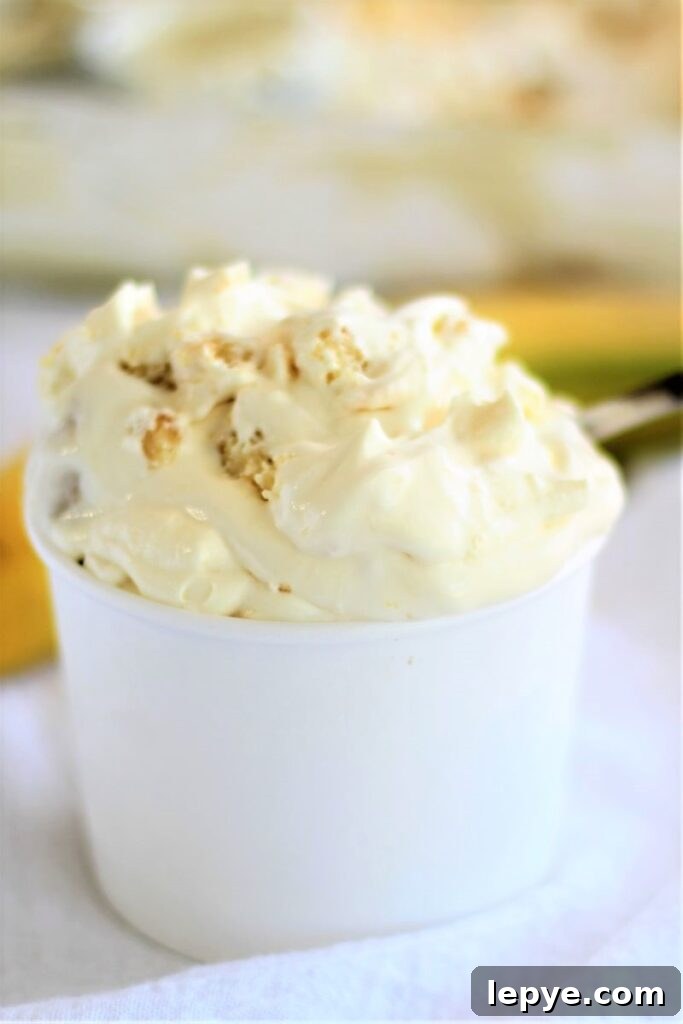 magnolia bakery gluten free banana pudding in white container
